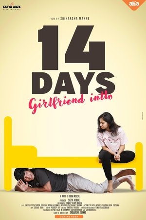 14 Days (Girlfriend Intlo) (2025) Hindi (MULTI AUDIO) – – HD Poster Download - filmyfly