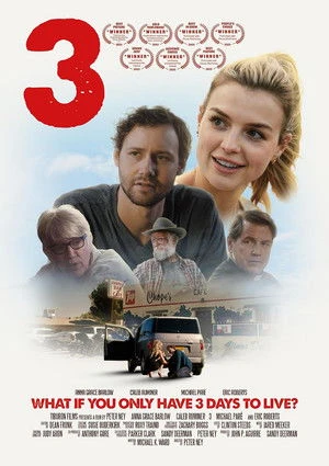 3: The Movie (2025) Hindi (MULTI AUDIO) – –