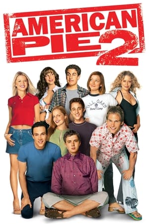 American Pie 2 (2001) Hindi Dual Audio [990MB] HD Poster Download - filmyfly