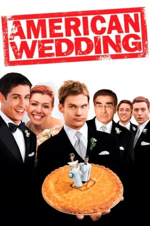 American Wedding (2003) Hindi Dual Audio [850MB] HD Poster Download - filmyfly