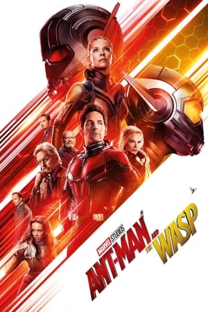 Ant Man and the Wasp (2018) Hindi Dual Audio 350MB HD Poster Download - filmyfly