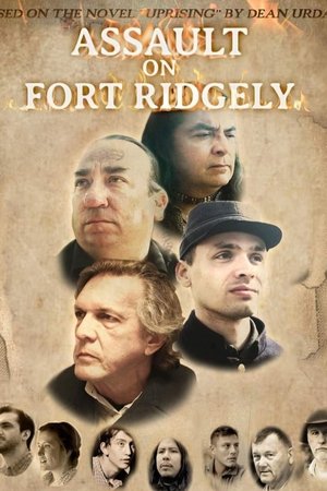 Assault on Fort Ridgely (2024) Hindi (MULTI AUDIO) – – HD Poster Download - filmyfly