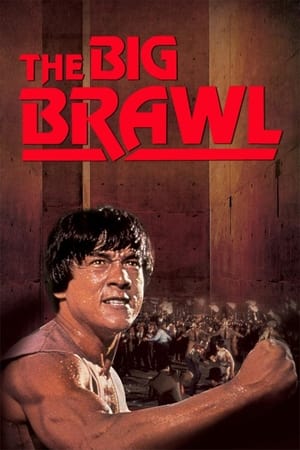 Battle Creek Brawl (1980) Hindi Dual Audio 300MB HD Poster Download - filmyfly