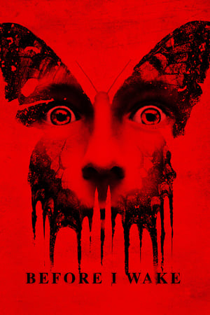 Before I Wake (2016) Hindi Dual Audio [900MB] HD Poster Download - filmyfly
