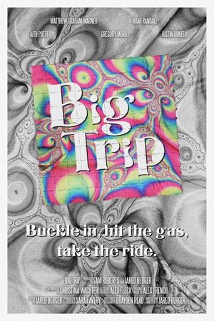Big Trip (2024) Hindi (MULTI AUDIO) – – HD Poster Download - filmyfly
