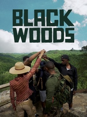 Blackwoods (2024) Hindi (MULTI AUDIO) – – HD Poster Download - filmyfly