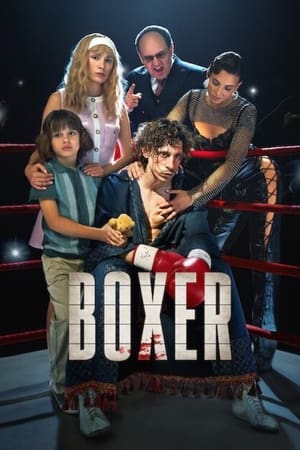 Boxer (2024) Hindi Dual Audio – 720p – HD Poster Download - filmyfly