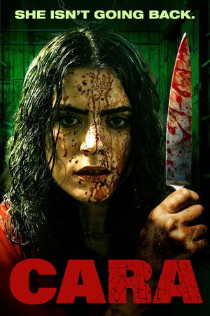 Cara (2024) Hindi (MULTI AUDIO) – – HD Poster Download - filmyfly