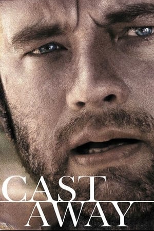 Cast Away 2000 Hindi Dual Audio 450MB HD Poster Download - filmyfly