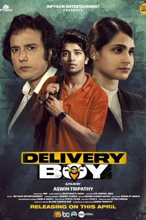 Delivery Boy 2 (2025) Hindi (MULTI AUDIO) – – HD Poster Download - filmyfly