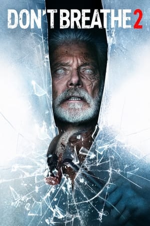 Don’t Breathe 2 (2021) Hindi Dual Audio 400MB HD Poster Download - filmyfly