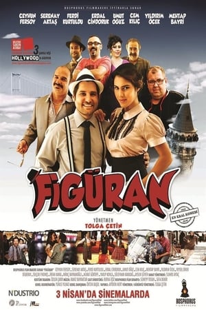 Figuran (2015) Hindi Dual Audio 330MB HD Poster Download - filmyfly