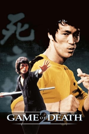 Game of Death II (1981) Dual Audio Hindi Movie - 1.1GB HD Poster Download - filmyfly