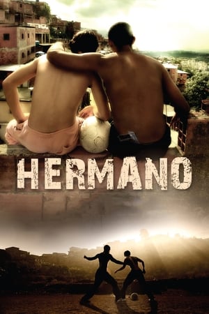 Hermano (2010) Hindi Dual Audio 300MB HD Poster Download - filmyfly