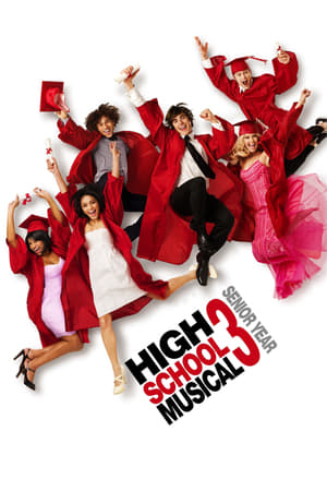 High School Musical 3 (2008) Hindi Dual Audio 350MB HD Poster Download - filmyfly
