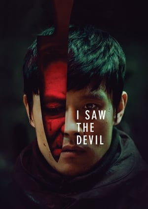 I Saw the Devil 2010 Hindi Dual Audio – HD Poster Download - filmyfly