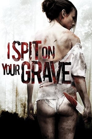 I Spit on Your Grave 2010 Hindi Dual Audio [1.1GB] HD Poster Download - filmyfly