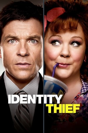 Identity Thief (2013) Hindi Dual Audio 350MB HD Poster Download - filmyfly