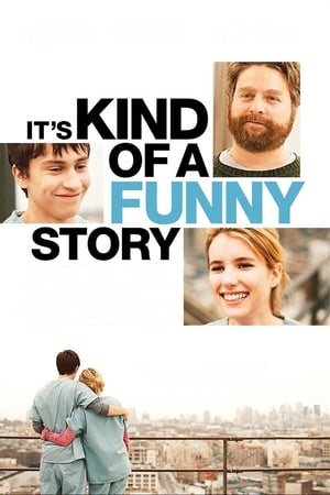 It's Kind of a Funny Story (2010) Hindi Dual Audio 330MB ESubs
