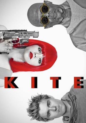Kite 2014 Dual Audio Hindi Movie - 1GB HD Poster Download - filmyfly
