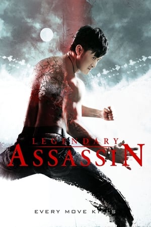 Legendary Assassin (2008) Hindi Dual Audio [1GB] HD Poster Download - filmyfly