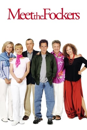 Meet the Fockers 2004 Hindi Dual Audio [1GB] HD Poster Download - filmyfly