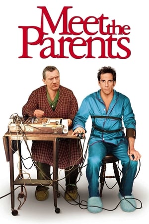Meet the Parents 2000 Hindi Dual Audio [930MB] HD Poster Download - filmyfly