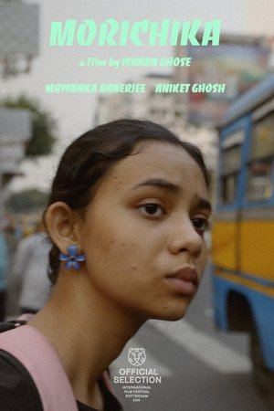 Mirage (2025) Hindi (MULTI AUDIO) – – HD Poster Download - filmyfly