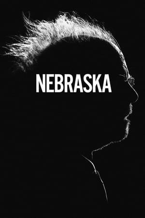 Nebraska 2013 Dual Audio Hindi 300MB HD Poster Download - filmyfly