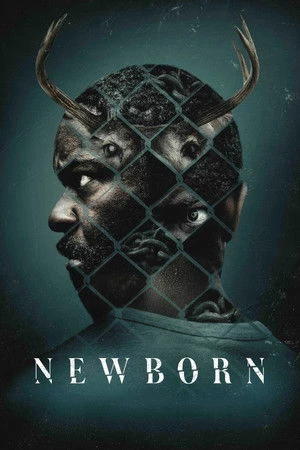 Newborn (2026) Hindi (MULTI AUDIO) – – HD Poster Download - filmyfly