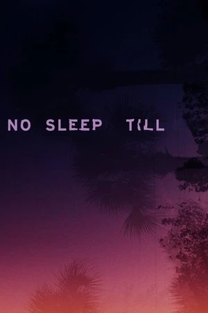 No Sleep Till (2025) Hindi (MULTI AUDIO) – –