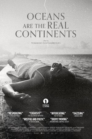 Oceans Are the Real Continents (2023) Hindi (MULTI AUDIO) HD Poster Download - filmyfly