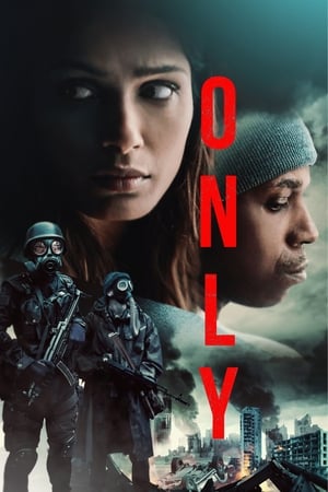 Only 2019 Hindi Dual Audio 300MB HD Poster Download - filmyfly