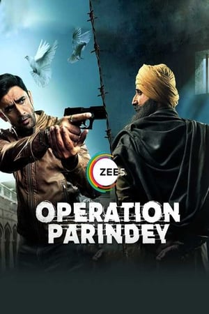 Operation Parindey 2020 Hindi Movie [500MB] HD Poster Download - filmyfly