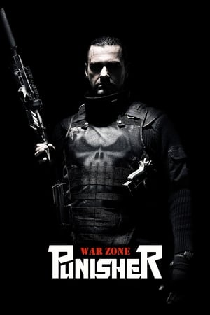 Punisher: War Zone (2008) Hindi Dual Audio [880MB] HD Poster Download - filmyfly