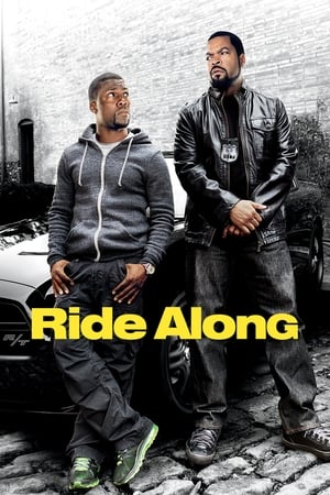 Ride Along (2014) Hindi Dual Audio [890MB] HD Poster Download - filmyfly