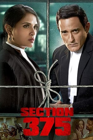 Section 375 (2019) Hindi Movie - [360MB] HD Poster Download - filmyfly