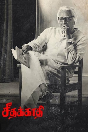 Seethakaathi (2018) Hindi Dubbed 400MB HD Poster Download - filmyfly