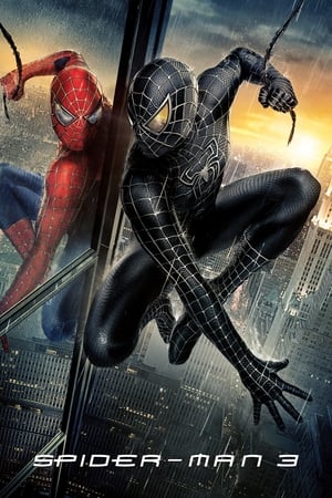 Spiderman 3 (2007) 100mb Hindi Dual Audio movie Download HD Poster Download - filmyfly