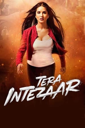 Tera Intezaar 2017 Movie - [300MB] HD Poster Download - filmyfly