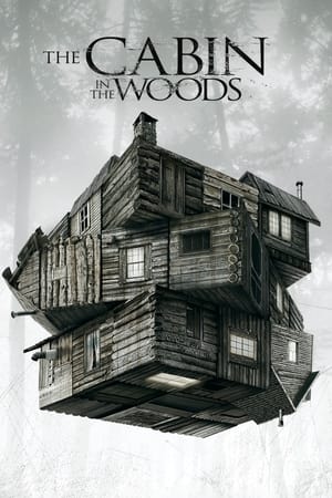 The Cabin in the Woods 2012 Dual Audio Hindi [800MB] ESubs HD Poster Download - filmyfly