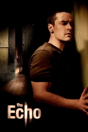 The Echo (2008) Hindi Dual Audio [900MB] HD Poster Download - filmyfly