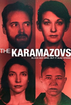 The Karamazovs (2024) Hindi (MULTI AUDIO) – – HD Poster Download - filmyfly