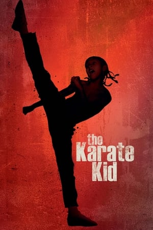 The Karate Kid 2010 Hindi Dubbed 300MB Full Movie HD Poster Download - filmyfly