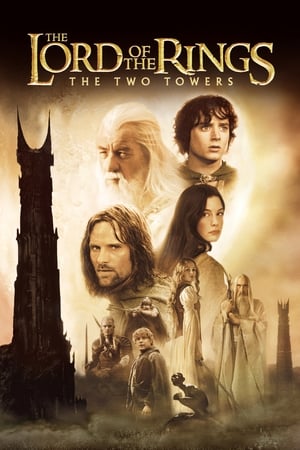 The Lord of the Rings: The Two Towers 2002 Hindi Dual Audio HD Poster Download - filmyfly