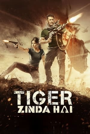 Tiger Zinda Hai 2017 Hindi Audio HD Poster Download - filmyfly