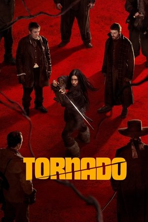 Tornado (2025) Hindi (MULTI AUDIO) – – HD Poster Download - filmyfly
