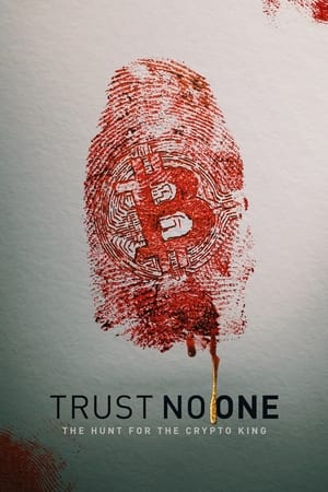 Trust No One: The Hunt for the Crypto King (2022) Hindi Dual Audio – 480p