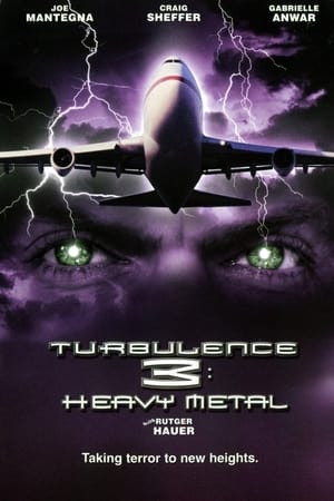 Turbulence 3 Heavy Metal 2001 Hindi Dual Audio [1GB] HD Poster Download - filmyfly