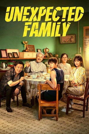 Unexpected Family (2026) Hindi (MULTI AUDIO) – – HD Poster Download - filmyfly
